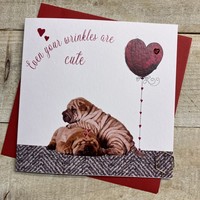 VALENTINE - WRINKLES ARE CUTE DOGS (V24-23)