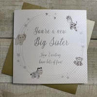 YOU'RE A NEW BIG SISTER CARD (B260-S)