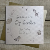YOU'RE A NEW BIG BROTHER CARD (B260-B)