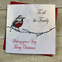 CHRISTMAS - TO ALL THE FAMILY - ROBIN ( EX163)