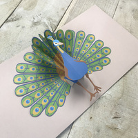 Peacock POP-UP card