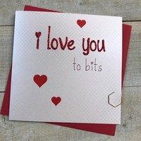 I LOVE YOU TO BITS (VLS9)