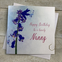 NANNY - BLUEBELLS BIRTHDAY (VN148-NNY)