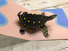 Turtle Pop Up Card  (TTT1797)