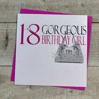 Handbag Gorgeous Birthday Girl 18th (Na18)
