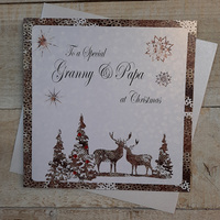 To a Special Granny & Papa - Reindeer (C5-GYPA)