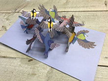 BIRDS - POP UP CARD (BIRDS)